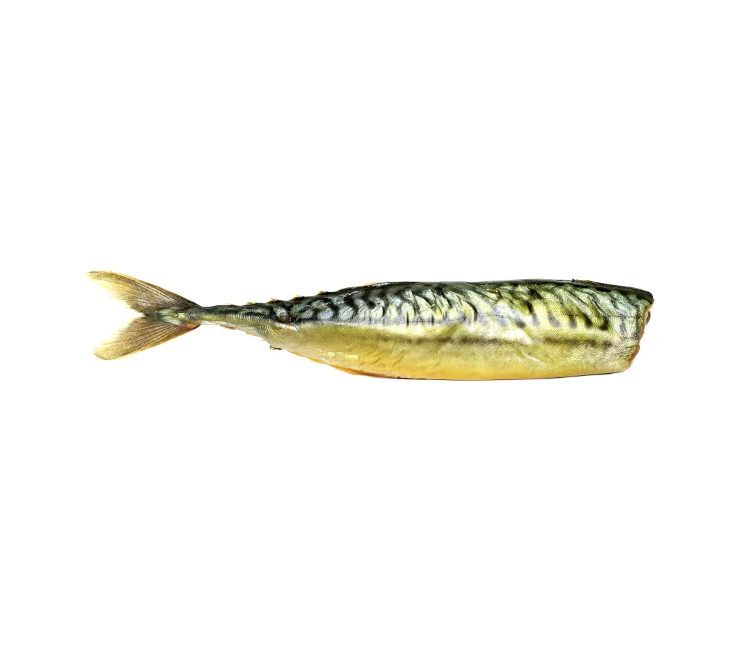 Makrela-EVIS-ryby-wedzone